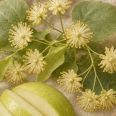 Linden blossom